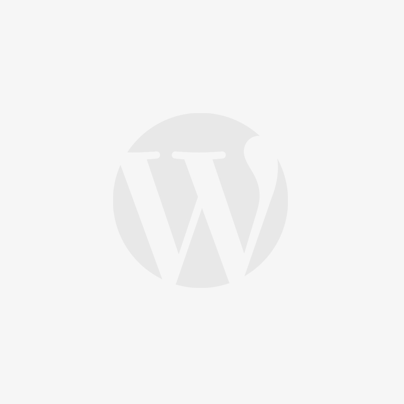 万词霸屏SEO就用简站wordpress主题